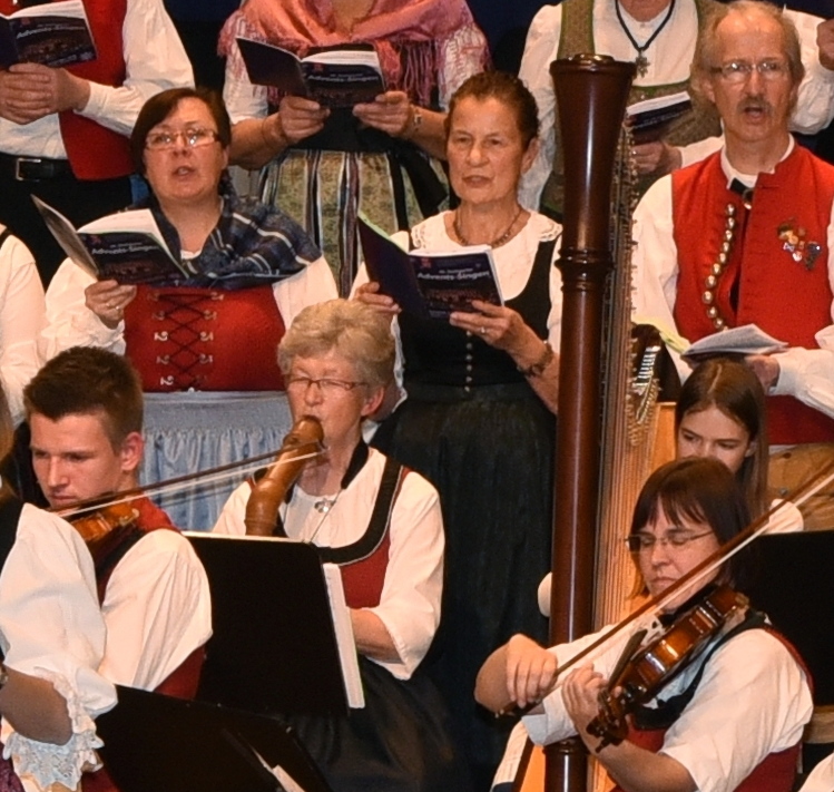 Adventskonzert Stuttgarter Advents Singen - instrumentalisten und Sänger